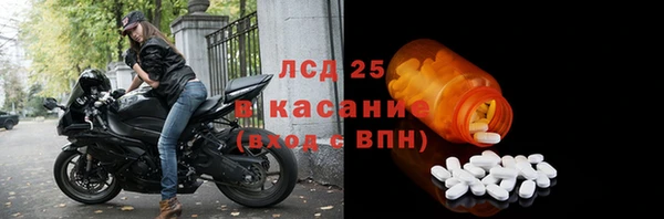 ECSTASY Алзамай