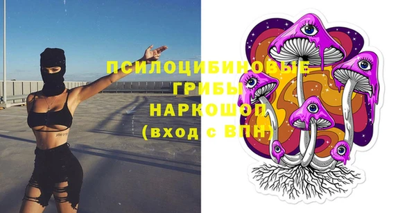 ECSTASY Алзамай
